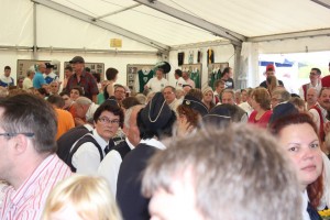 Fest 2014 online (958)